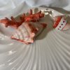 Schelpen bord rood koraal