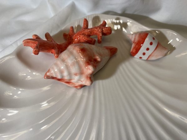 Schelpen bord rood koraal