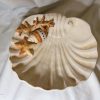 Medium bord beige koraal