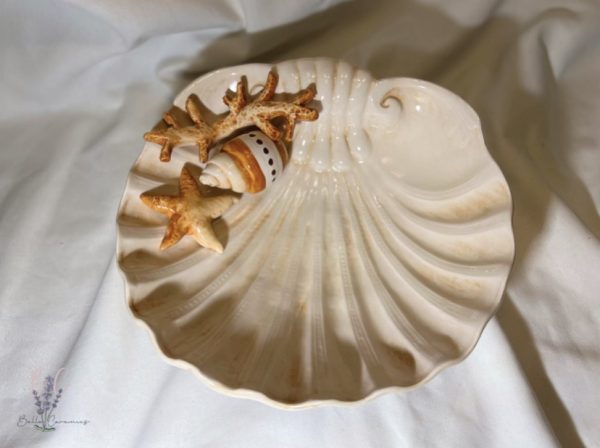 Medium bord beige koraal