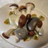 Terrine paddenstoel