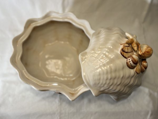 IMG_E0653 Terrine beige koraal