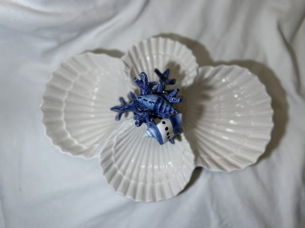 Zeeschelpen vierdubbel kommetje blauw koraal