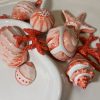 Grote snack schaal rood koraal