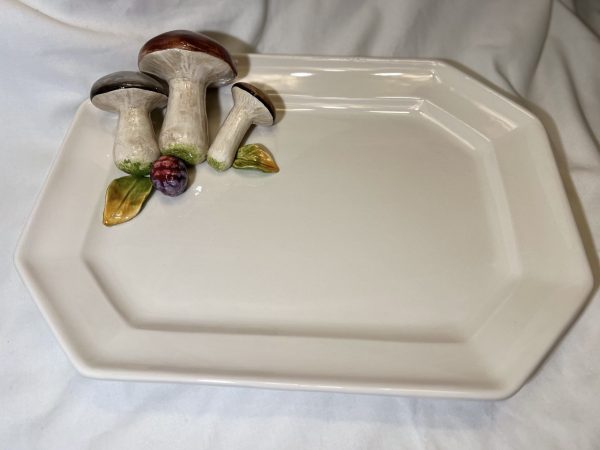 Grote schaal paddenstoel