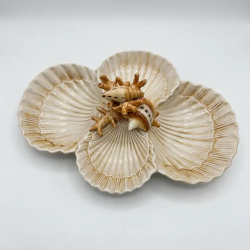Schelpen vierdubbel kommetje beige koraal